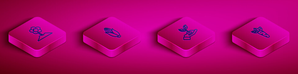 Set Isometric line Flower, Corn, Plant in hand of environmental and Carrot icon. Vector