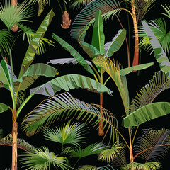 Palm, pattern, seamless, background, tree, grass, nature, plant, leaf, garden, 
summer, exotic, botanical, texture, houseplants, textile, floral, ornament, black, natural,
 tropical, decorative, flora