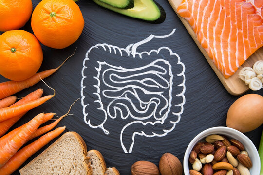 Healthy gut concept with nutritious food choices for digestive wellness and nutritional balance supporting a healthy lifestyle