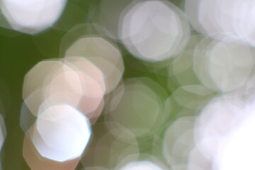 Abstract octagonal flares with a green background, dreamy ambiance