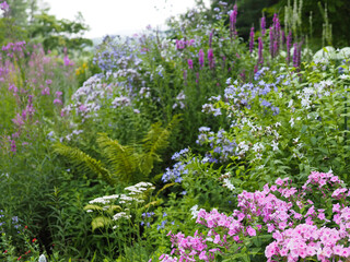Obraz premium Flowers in the Garden