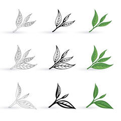 Tea Leaves.Tea Leaf Collection Vector illustration Art