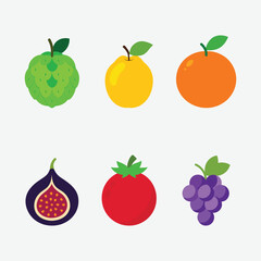 Set of Autumn Seasonal Fruits Vector  Design 