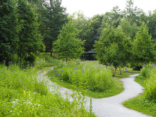 Paths in the Garden