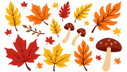 Obraz premium Autumn leaves and mushrooms, colorful pattern, for seasonal designs