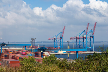 A wide shot shows the busy Port of Odesa Ukraine featuring towering gantry cranes moving numerous...