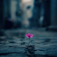 A solitary pink flower emerging from cracked pavement on a deserted street