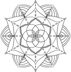 Luxury mandala background