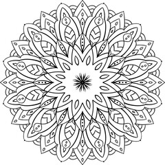 vector illustration ofmandala