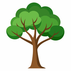 Minimal Tree Vector on White