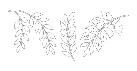 Nature Leaf Line Drawing with Smooth Outline for Eco Art