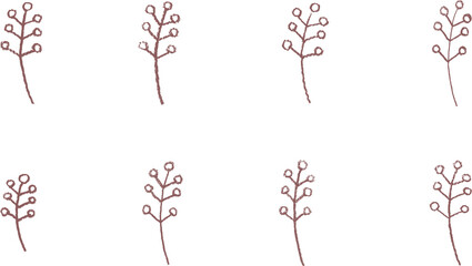 色鉛筆で描いた、植物の実