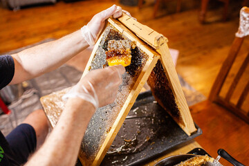 Person using comb to uncap honeycomb frame - harvesting honey