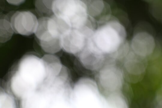 Abstract ethereal octagonal bokeh overlay background with blurred greenery