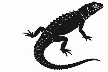 crocodile skink sihouette black vector 
