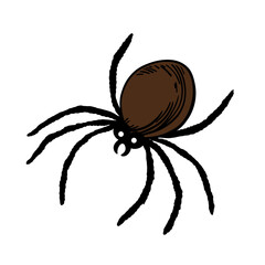 Creepy scary element colection for Halloween occasion. Spiderweb, spider tarantula. Horror decorations line art hand drawn 
