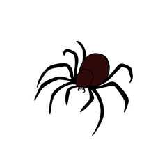 Creepy scary element colection for Halloween occasion. Spiderweb, spider tarantula. Horror decorations line art hand drawn 