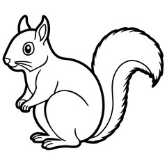 Minimal Squirrel Line Art Illustration