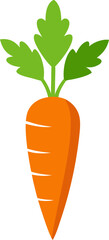 vector illustration of a carrot