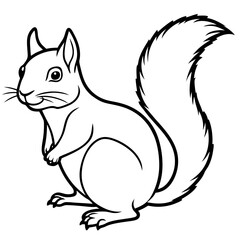 Minimal Squirrel Line Art Illustration