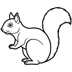 Minimal Squirrel Line Art Illustration