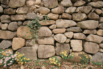 stone wall with green grass