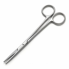 Surgical scissors with curved blades in stainless steel finish  