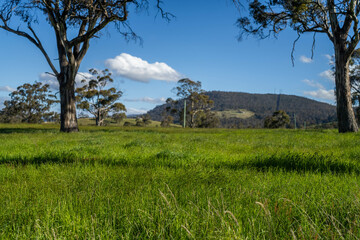 Green Pasture crop farm practicing Sustainable agriculture the Future of Regenerative Farming in...