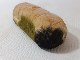 Expired bun with black and green mold