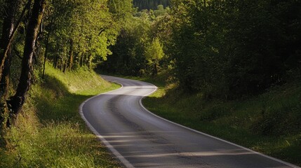 Curving Rural Road Shimmers Under Sunlight Through Dense Green Forest Scenic Landscape