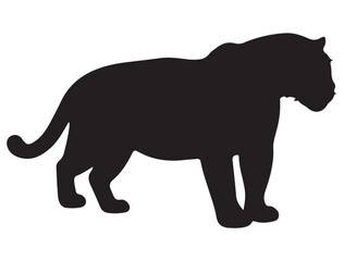  JAGUAR SILHOUETTE