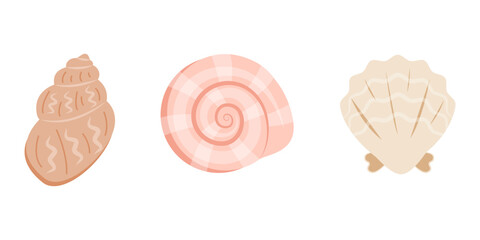 Set of cute sea shells, mollusks. Underwater shells of different shapes. Tropical beach shells. Vector illustration