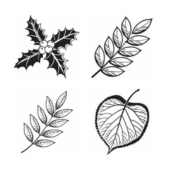 set of leaves line art bundle on the white background