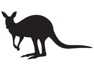KANGAROO SILHOUETTE