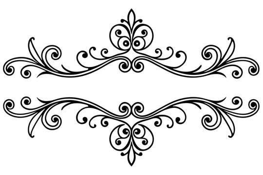 Flourished Divider Line with Ornamental Swirl Appeal