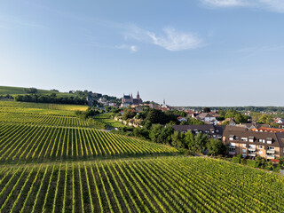 Oppenheim am Rhein with vineyards and St. Catherine's Church, panorama drone shot in summer