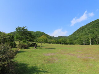晴れた日の初夏の山の景色