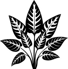 Prayer Plant   Silhouette vector white background