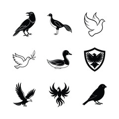 Obraz premium Elegant black and white bird illustrations collection featuring diverse avian species and iconic designs
