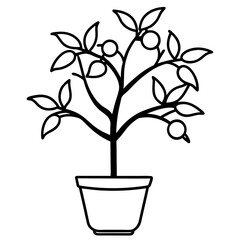 Fototapeta premium Lemon tree in pot on white background