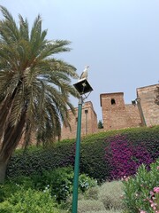Alcazaba de M&aacute;laga 