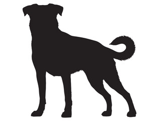 LANCASHIRE HEELER DOG SILHOUETTE