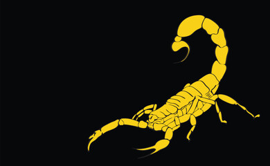Yellow scorpion raising its tail on black background