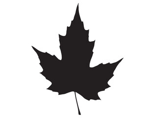 LEAF SILHOUETTE