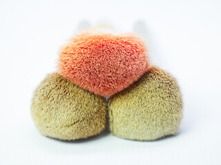 Close-up of colorful used makeup brush bristles grouped together