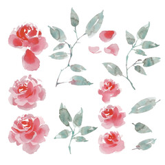 Set of Watercolor Roses, Branches and Leaves