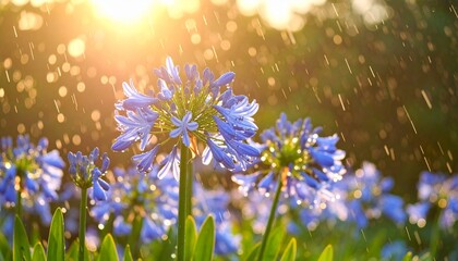 梅雨～雨に濡れたアガパンサスの花／Generated image