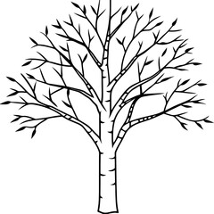 Birch line art vector