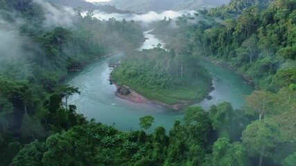Aerial View of Emerald River Bend Winding Through Misty Jungle Canopy in 4K Ultra HD - Powered by Adobe