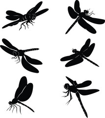 Dragonfly Illustration, black and white silhouette